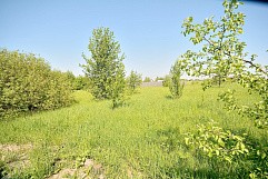участок, д. Теренина, ул. Зеленая, г.о. Павловский Посад