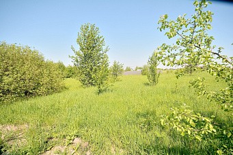 участок, д. Теренина, ул. Зеленая, г.о. Павловский Посад