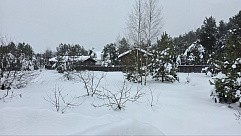 ул. Майская, уч. 25, д. Дмитриво, с. Рахманово, г.о. Павловский Посад