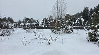 ул. Майская, уч. 25, д. Дмитриво, с. Рахманово, г.о. Павловский Посад