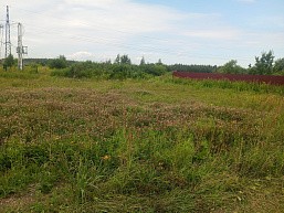 г. Павловский Посад, р. п. Большие Дворы, г.о. Павловский Посад, ул. Руфины Красавиной