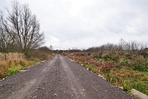 Теренино деревня, г. Павловский Посад