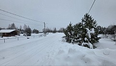 ул. Майская, уч. 25, д. Дмитриво, с. Рахманово, г.о. Павловский Посад