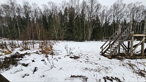 д. Щекавцево, г.о. Ногинск
