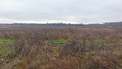 пос. Большое Трубицыно, г. Павловский Посад