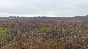 пос. Большое Трубицыно, г. Павловский Посад