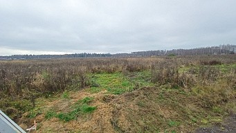 пос. Большое Трубицыно, г. Павловский Посад