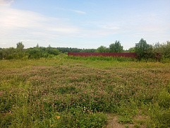 г. Павловский Посад, р. п. Большие Дворы, г.о. Павловский Посад, ул. Руфины Красавиной