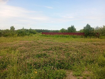г. Павловский Посад, р. п. Большие Дворы, г.о. Павловский Посад, ул. Руфины Красавиной