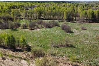 д. Пестово, г.о. Павловский Посад