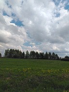 г. Павловский Посад, городской округ Павловский Посад, деревня Щекутово