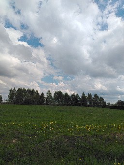 г. Павловский Посад, городской округ Павловский Посад, деревня Щекутово