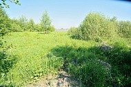 участок, д. Теренина, ул. Зеленая, г.о. Павловский Посад