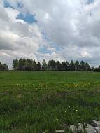г. Павловский Посад, городской округ Павловский Посад, деревня Щекутово